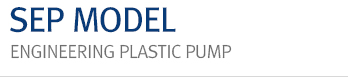 SEP MODEL