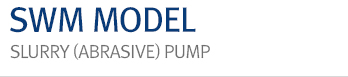 SWM MODEL